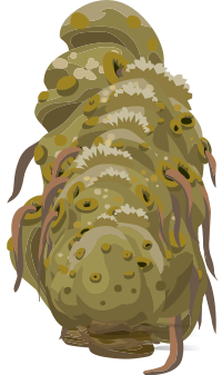 Harvestable Resources Trant Egg