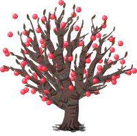 Harvestable Resources Trant Fruit