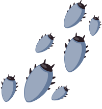 Ilmenskie Bugs 1
