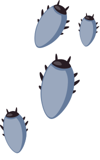 Ilmenskie Bugs 2