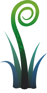 Ilmenskie Plant Fern 2
