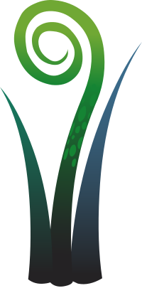 Ilmenskie Plant Fern 3