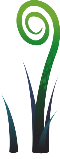 Ilmenskie Plant Fern 4