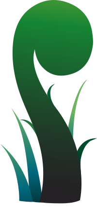Ilmenskie Plant Giant Fern 2