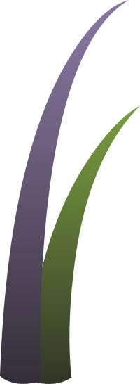 Ilmenskie Plant Grass 3
