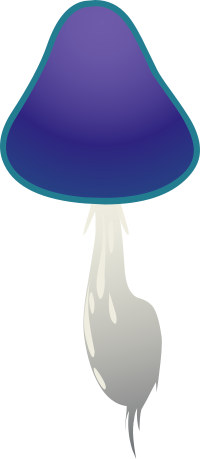 Ilmenskie Purple Mushroom 2