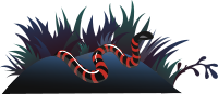Ilmenskie Snake 1