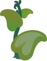 Ilmenskie Zutto Plant 1