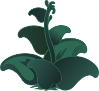 Ilmenskie Zutto Plant 2