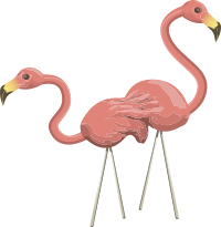 Inhabitants Npc Flamingo