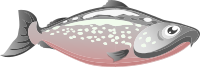 Inhabitants Npc Salmon