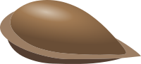 Misc Apple Seed
