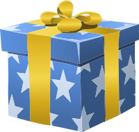 Misc Bag Gift Box Wrapped