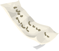 Misc Fortune