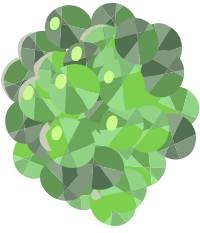 Misc Jellisac Clump