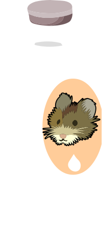 Misc Milk Vole