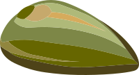 Misc Seed Small