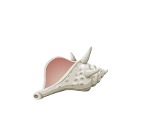 Quest Items Conch Decoy