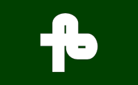 Flag of Yanagawa, Fukushima