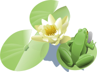 Frog on a lily pad