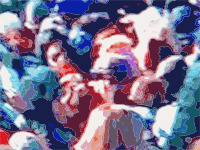 New Year Sports Crowd