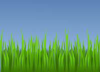 grass