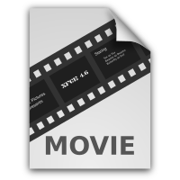 Generic Video File