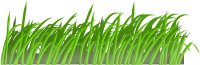 Grass texture
