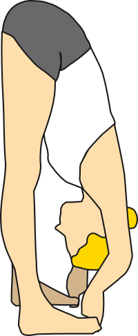 Padangusthasana