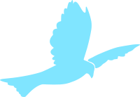 Peace Dove