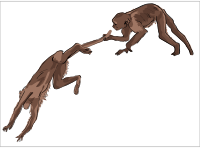 monkeys playing