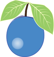 Blueberry