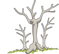 Dead trees