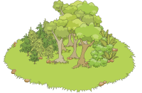 Little undergrowth