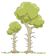 two dead trees