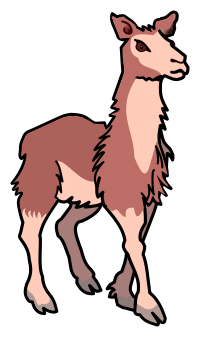 llama - coloured
