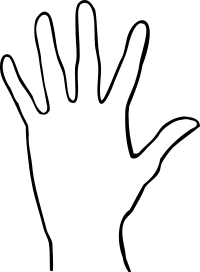 Simple Palm
