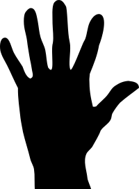Simple Palm Surface