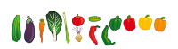 vegetables set