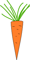 Carrot