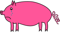 Crying pig