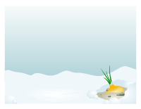 Almost Spring