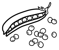 peas - lineart