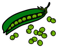 peas - coloured