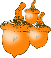 nuts