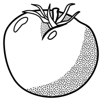 tomato - lineart