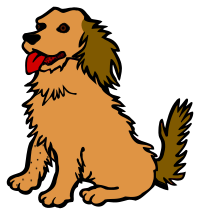 dog - coloured