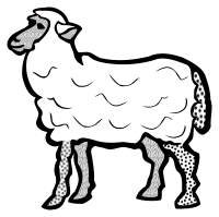 sheep - lineart