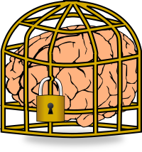 Fixed Brain Set