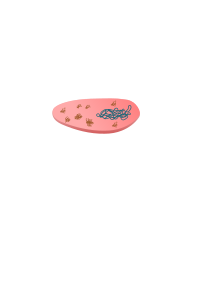 Inclusion body in cloned bacteria